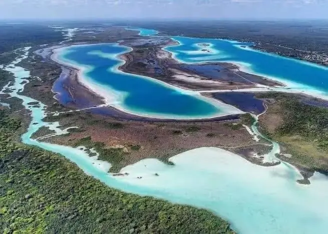 BACALAR ECONOMICO