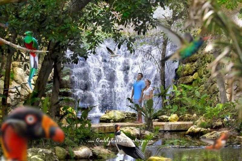 6 DÍAS 5 NOCHES DE HOSPEDAJE + TRANSPORTACION + 3 TOURS (XCARET PLUS + XPLOR DIA + XEL HA)