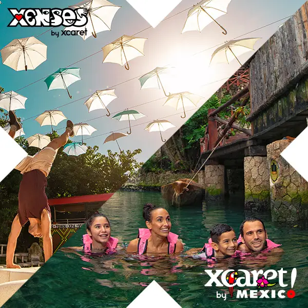 XCARET PLUS + XENSES