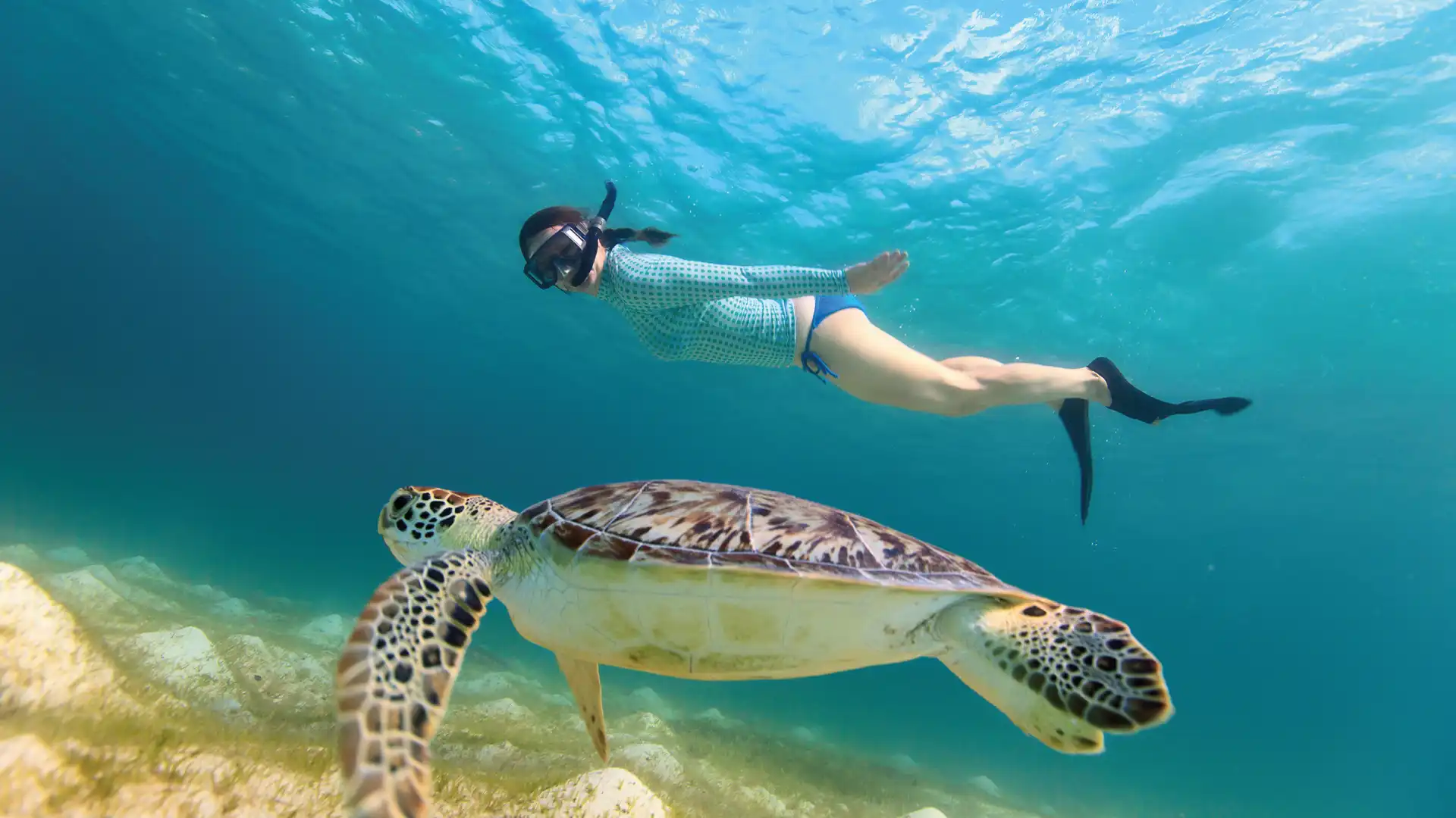 5 DÍAS 4 NOCHES DE HOSPEDAJE + TRANSPORTACION + 2 TOURS (LANCHA TRANSPARENTE + TULUM AKUMAL + NADO CON TORTUGAS )